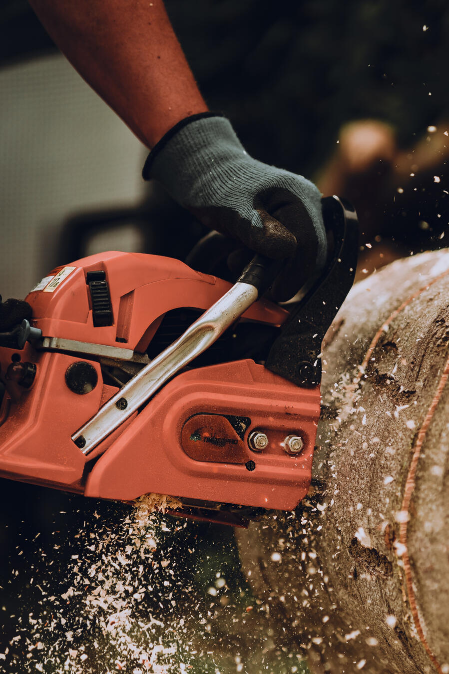 Tree Care Services Edmonton